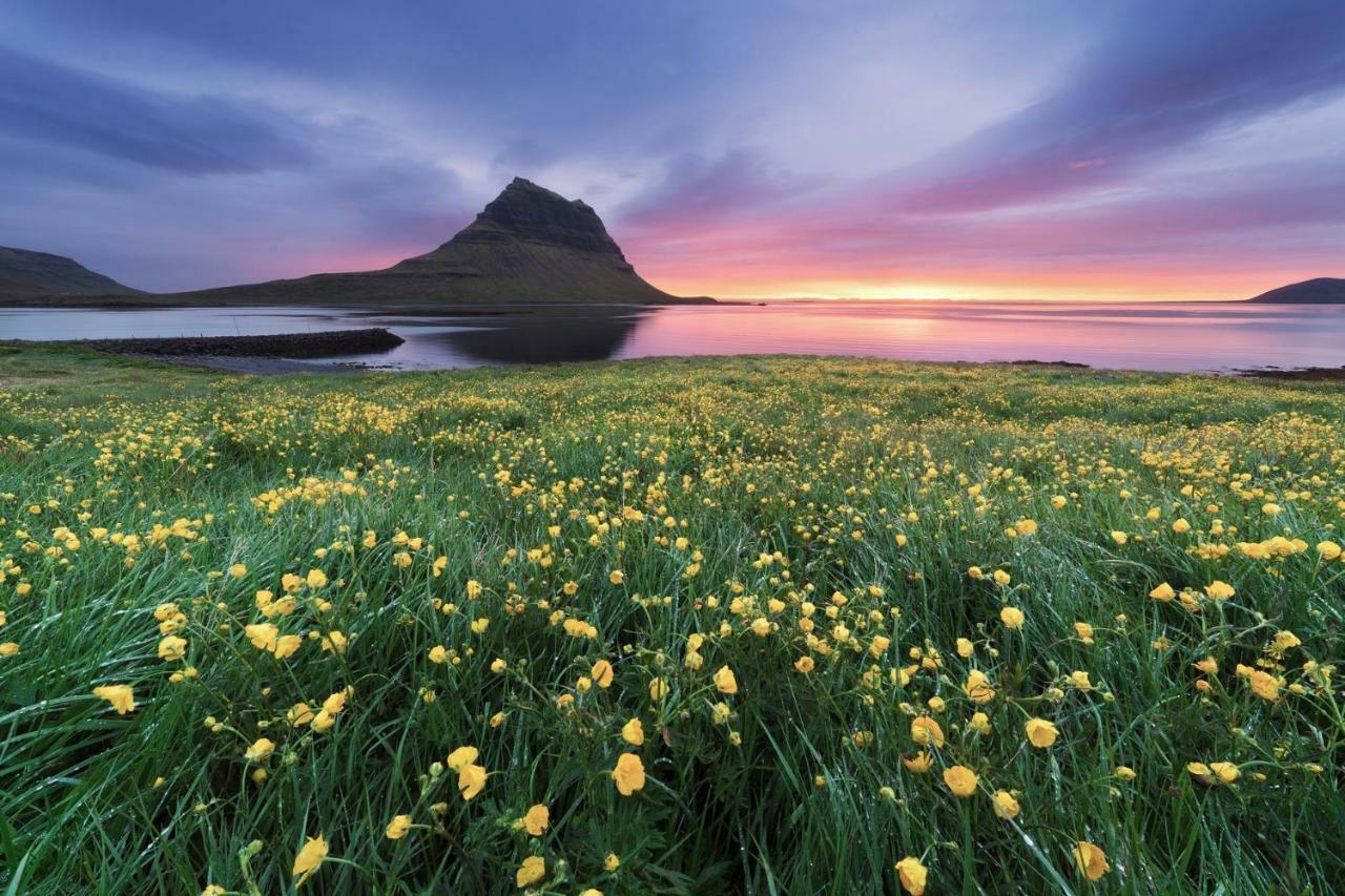 Experience Beautiful Iceland Оулафсвик Экстерьер фото